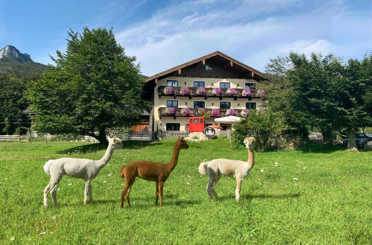 Das Franzl - Bett & Brot Sankt Wolfgang im Salzkammergut Exterior photo